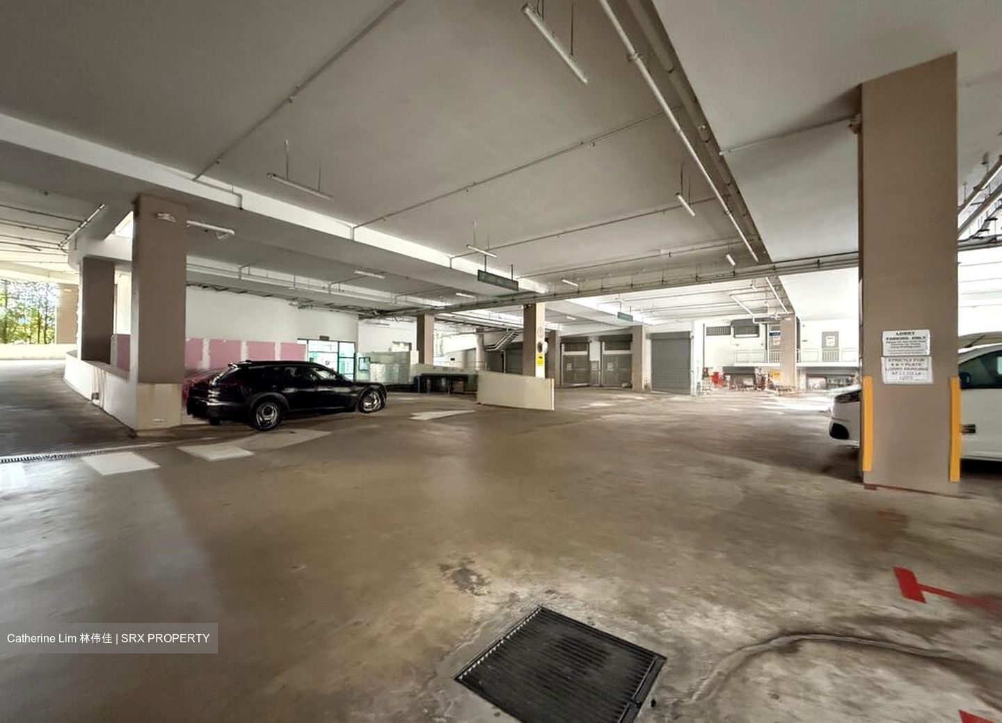 Focus One (D14), Factory #496205441